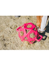 Relax Horse Play & Hay Ball Pink