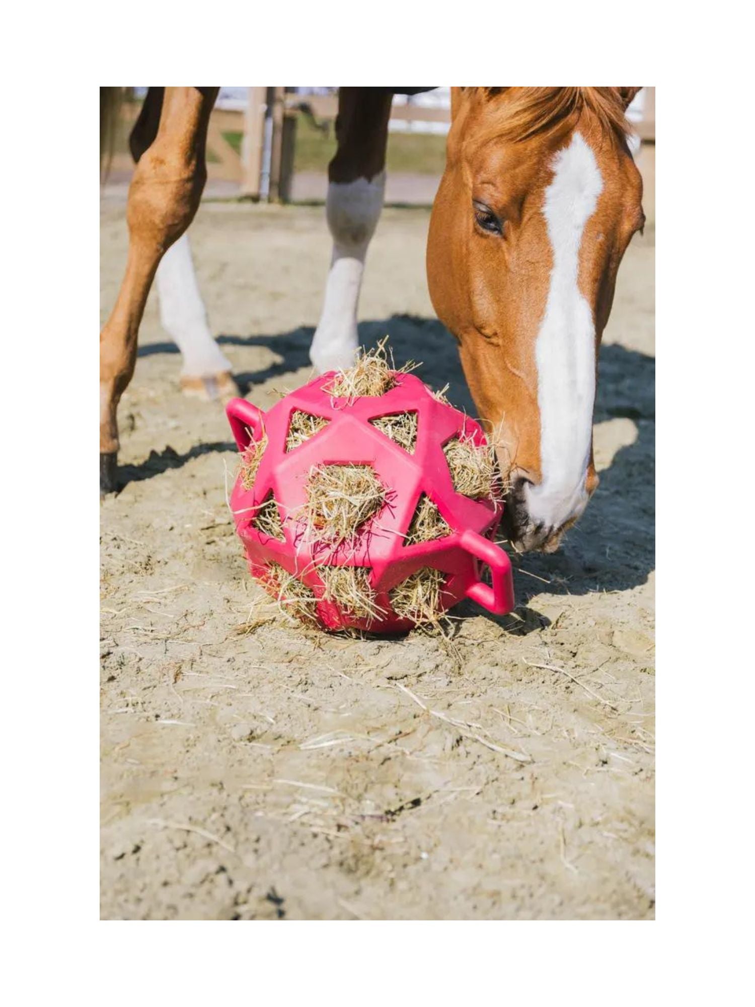 Relax Horse Play & Hay Ball Pink