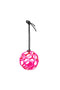 Hayball Rosa
