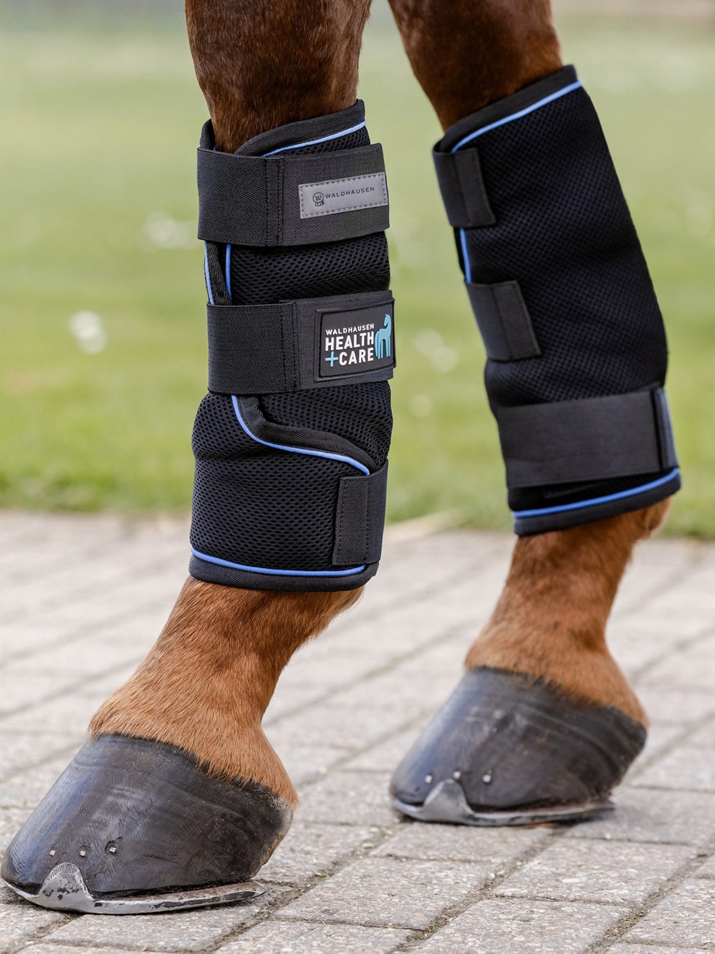 Heath + Care Ice Layer Boot Svart