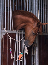 Horse Toy Box Hanger Horse/Unicorn/Carrot