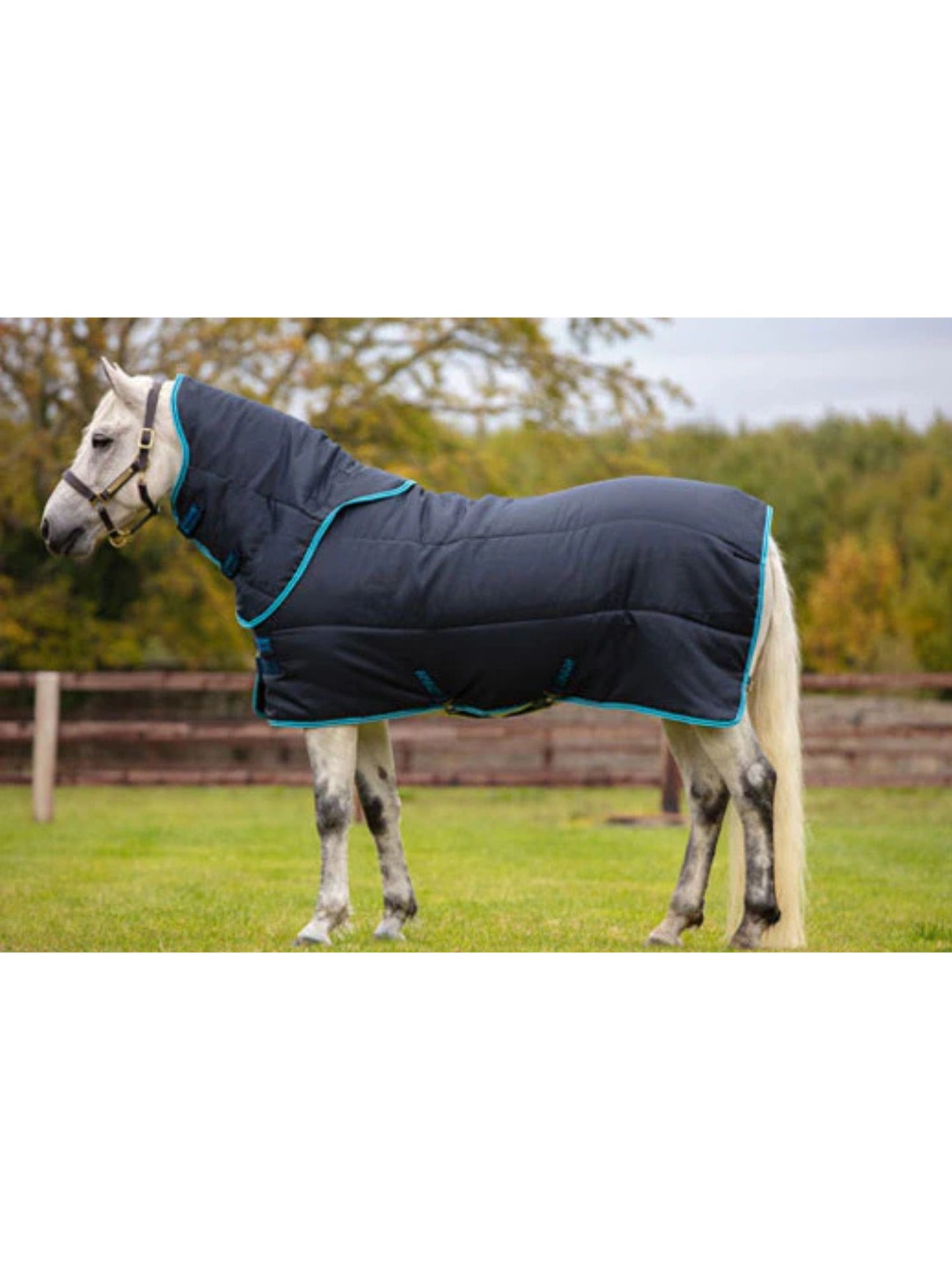 Amigo Insulator Pony Plus Med Hals 200g