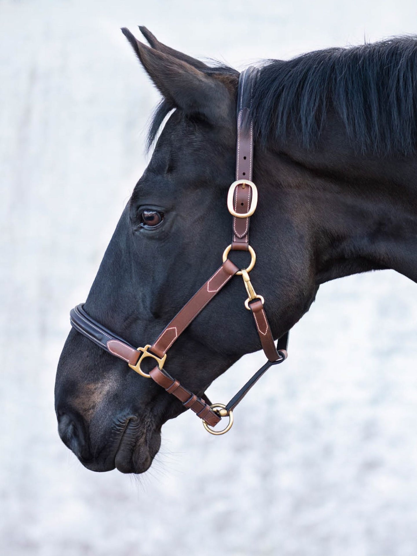 Lädergrimma London Brun