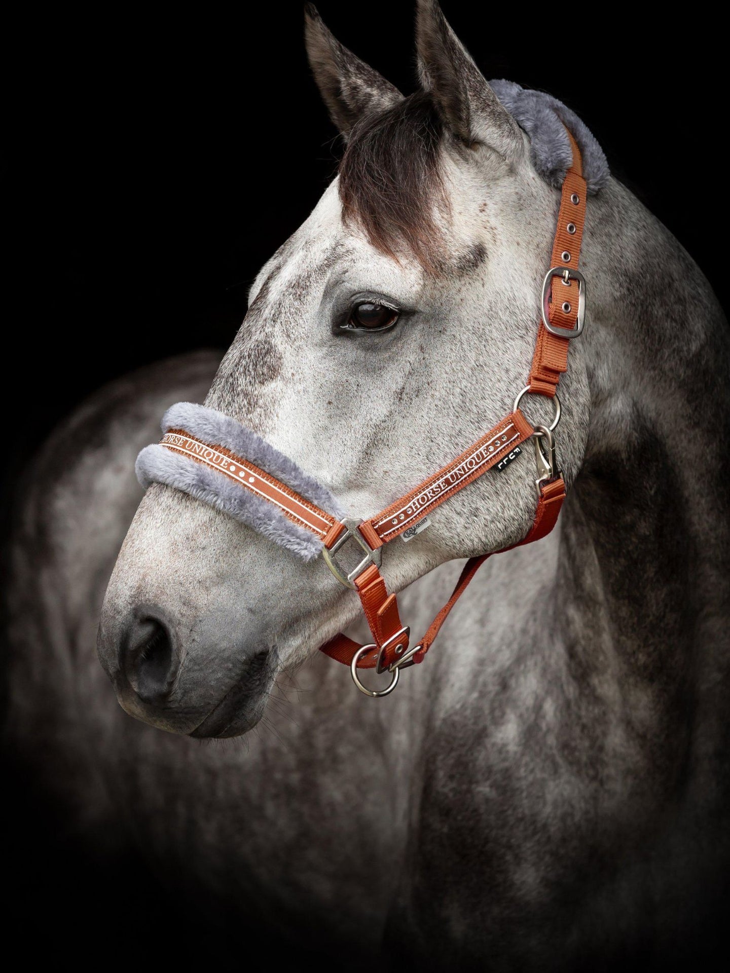 Grimma Med Päls Rost