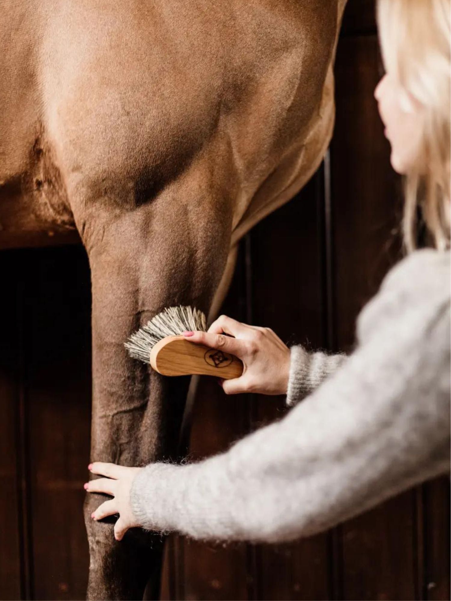 Svängd Borste Grooming De Lux Mellanhård