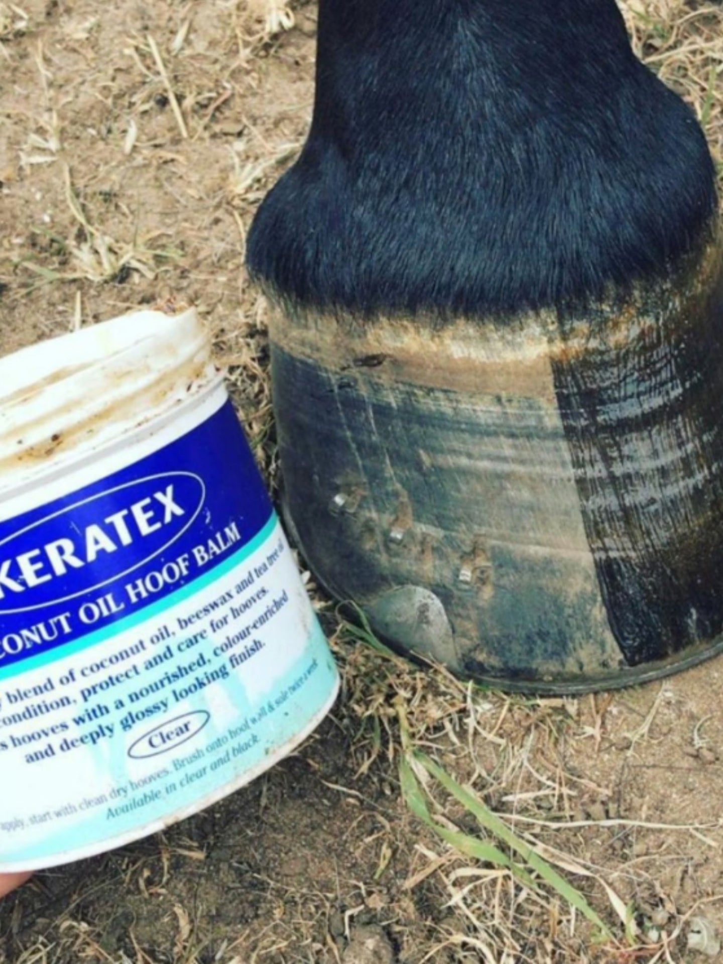 Coconut Oil Hoof Balm