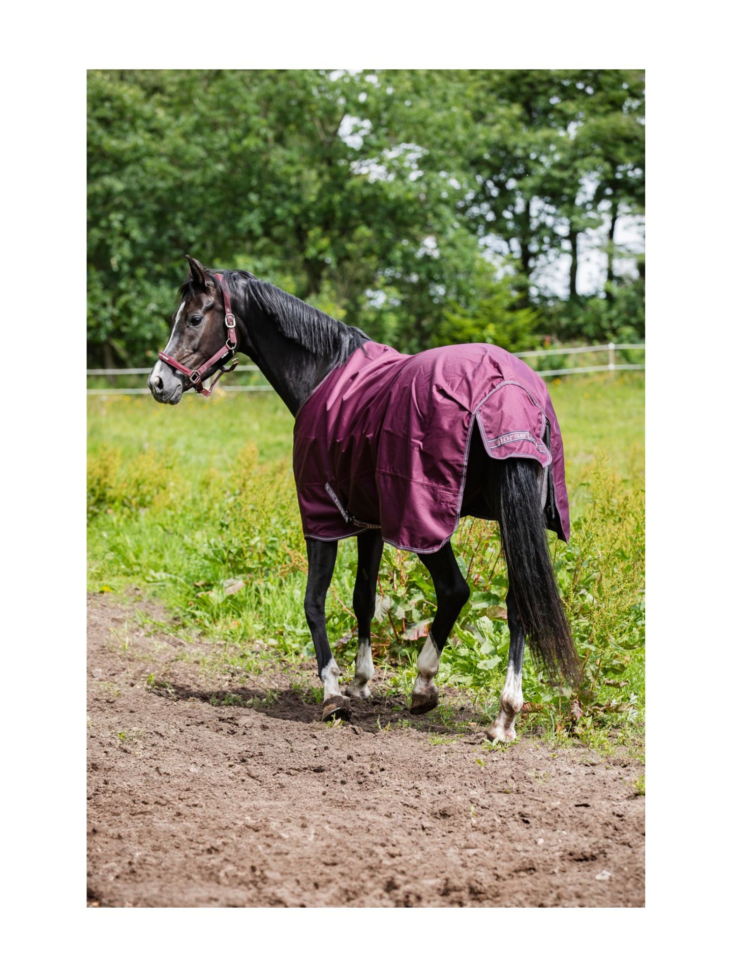 Landon 1200D Utetäcke Standard Hals 0g Plum