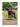 Landon 1200D Utetäcke Standard Hals 0g Plum