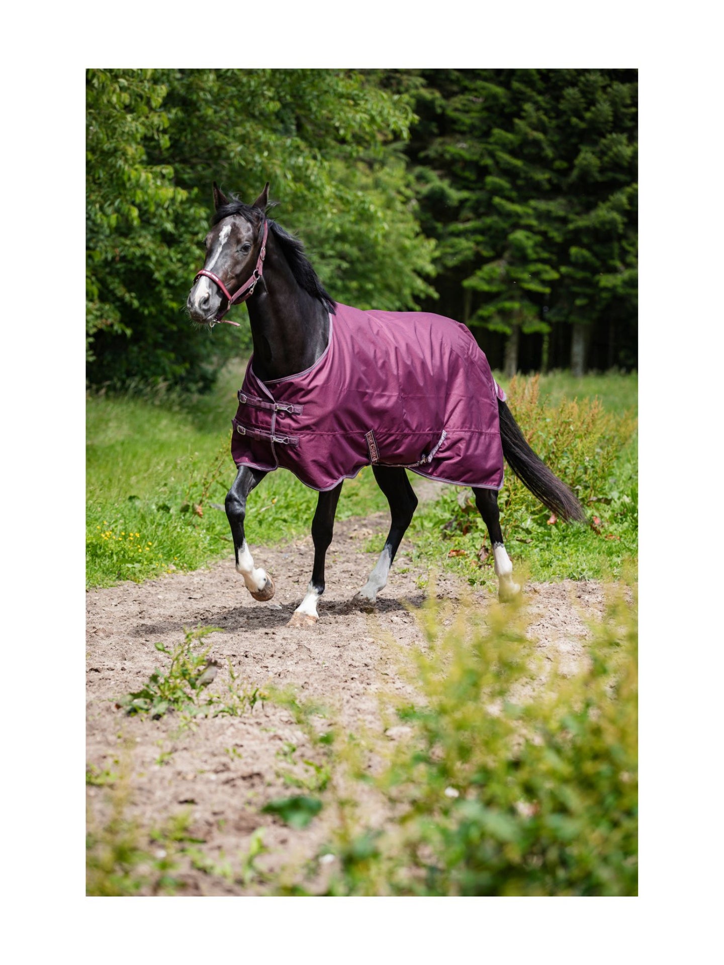 Landon 1200D Utetäcke Standard Hals 0g Plum