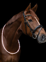 Led Light Collar For Horses White