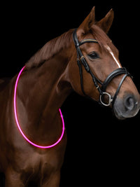 Led Light Collar For Horses Pink