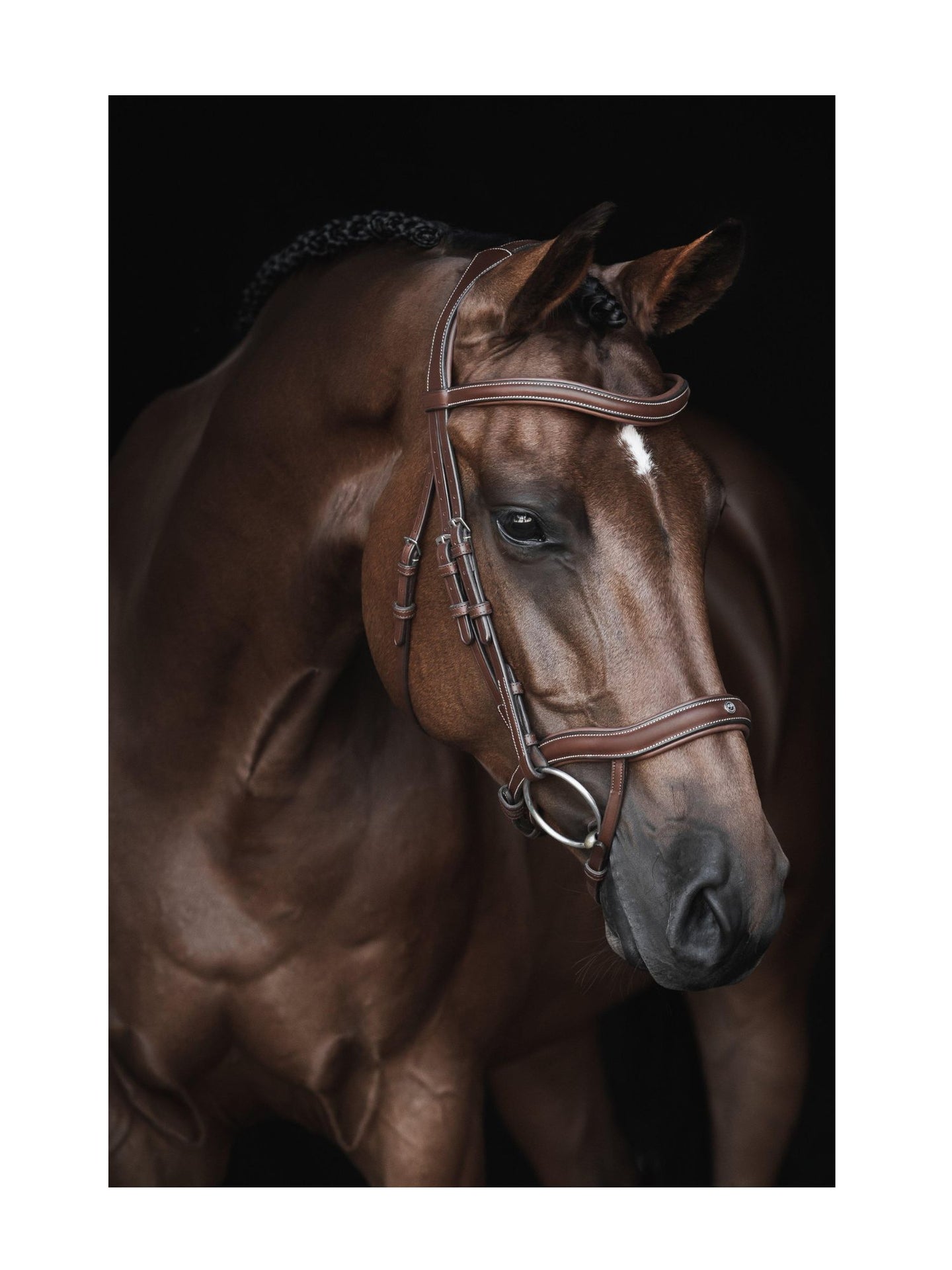 Eccelente Träns Cognac