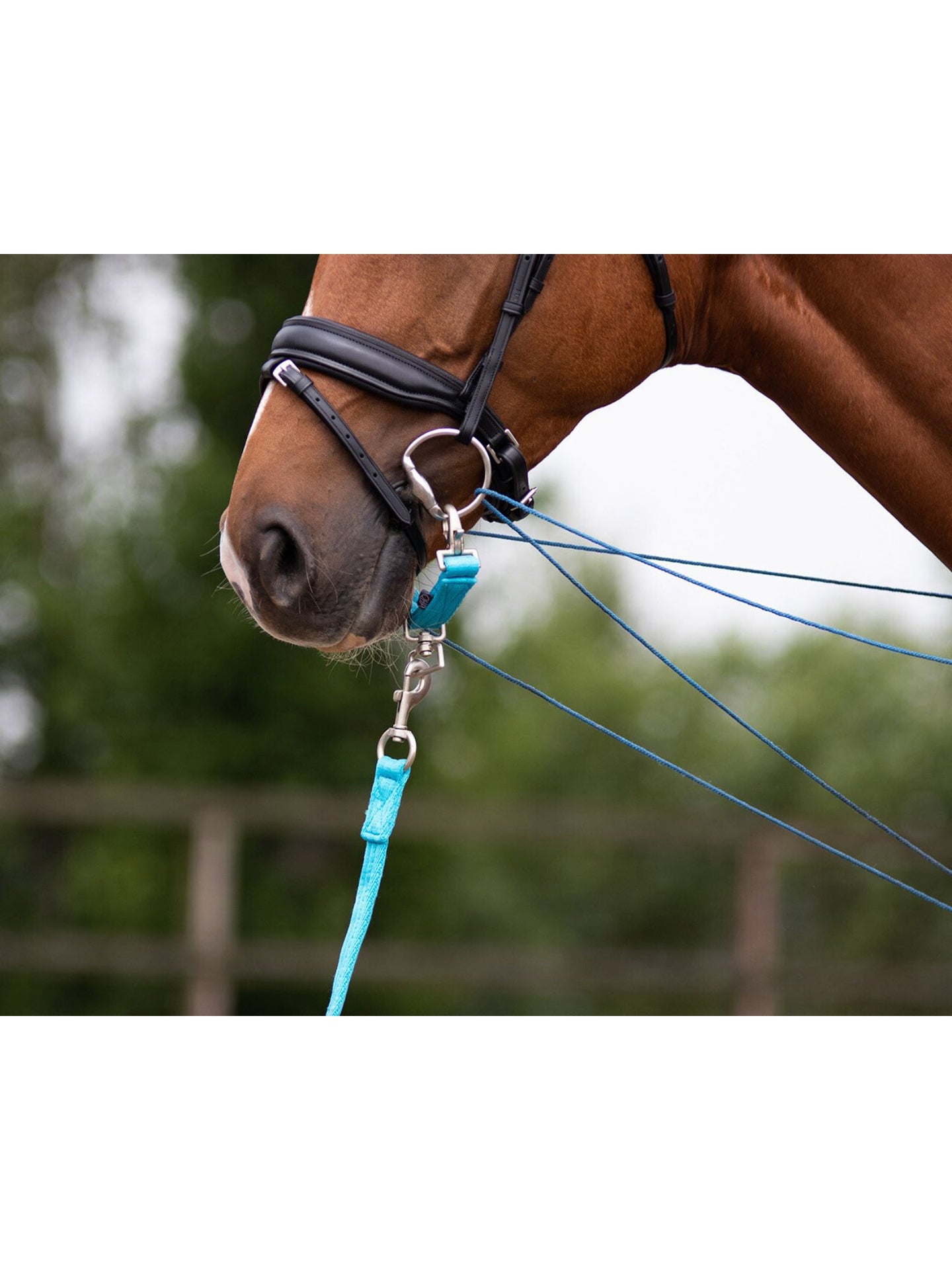 Longerdelta Ljusblå