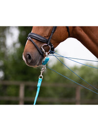 Longerdelta Ljusblå