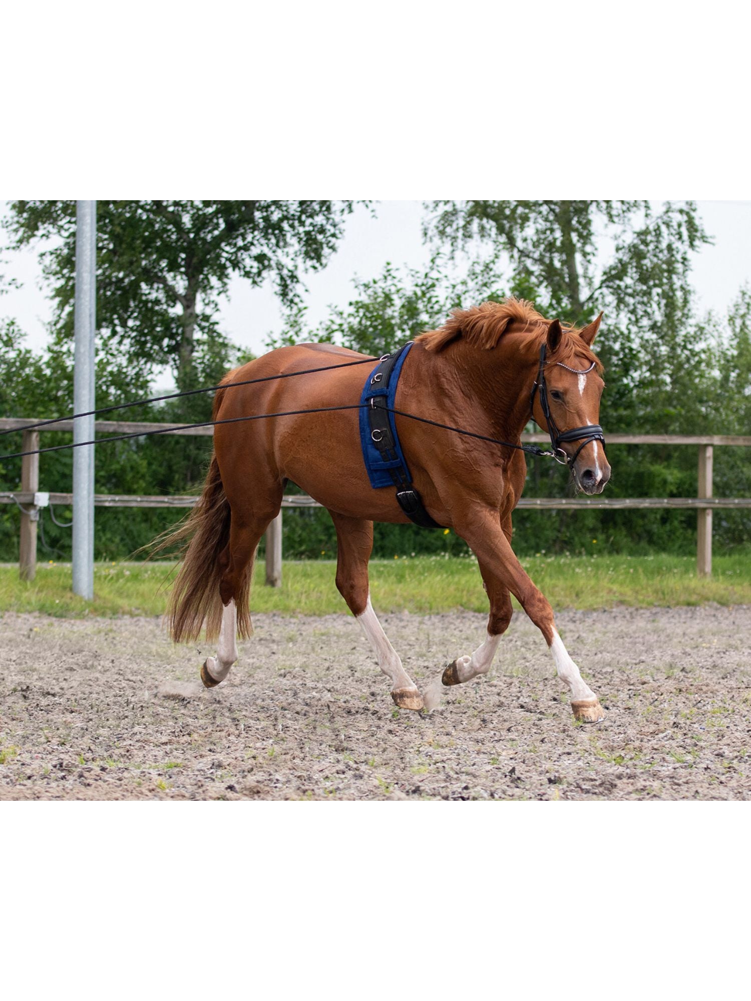 Longerlina Dubbel Svart