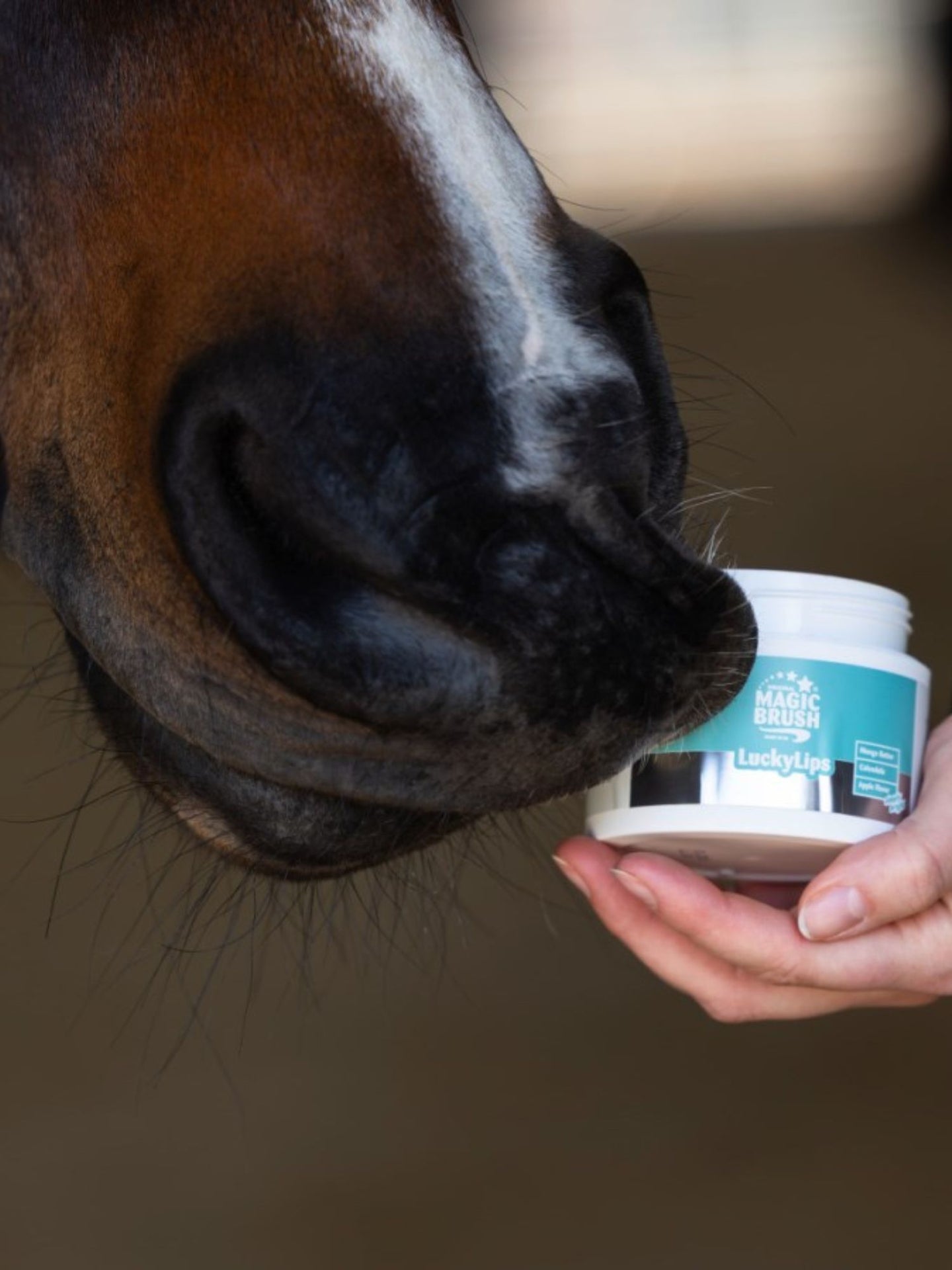 Lucky Lips Lip Balm For Horses