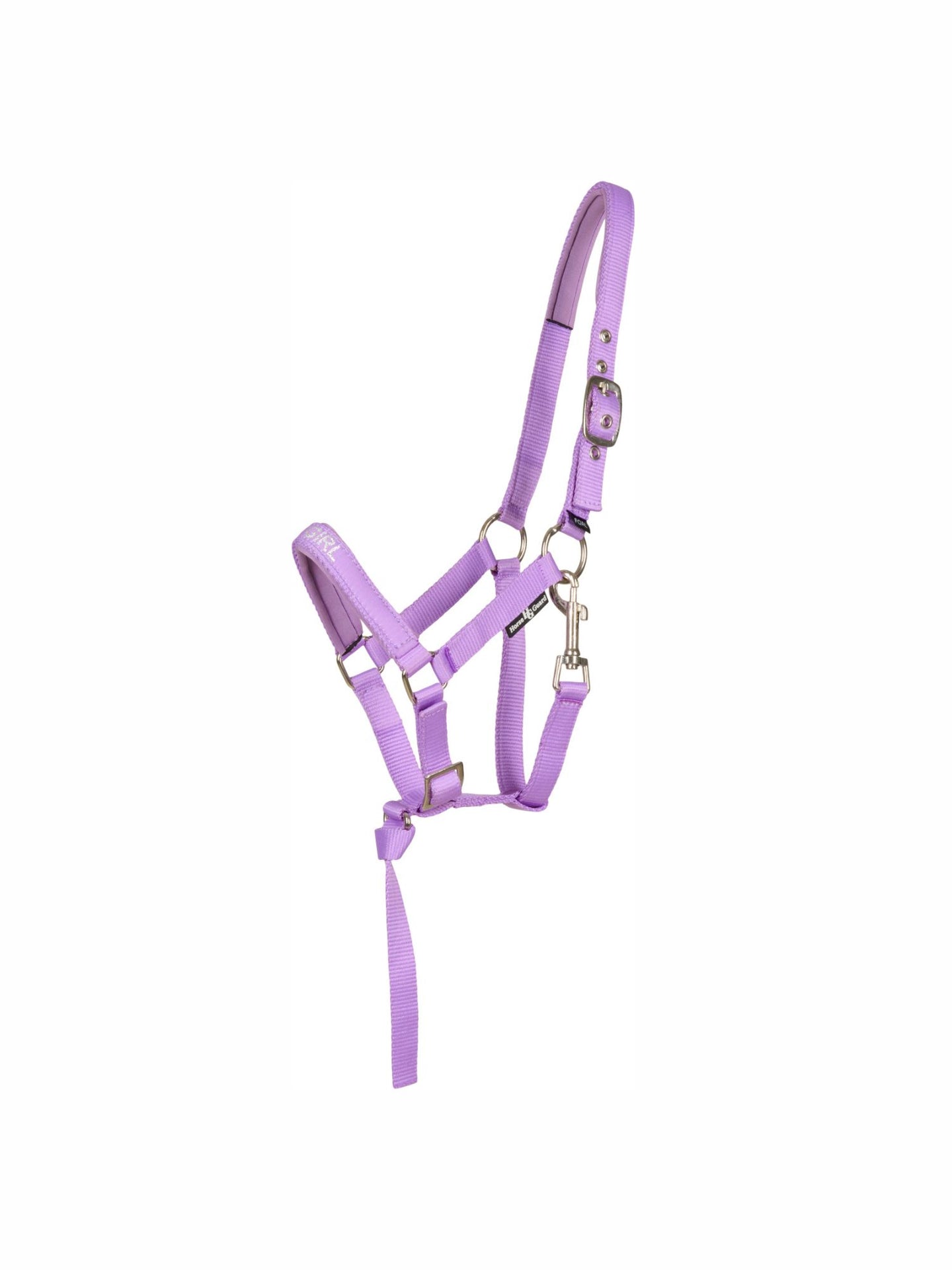 Malva Fölgrimma Lavender