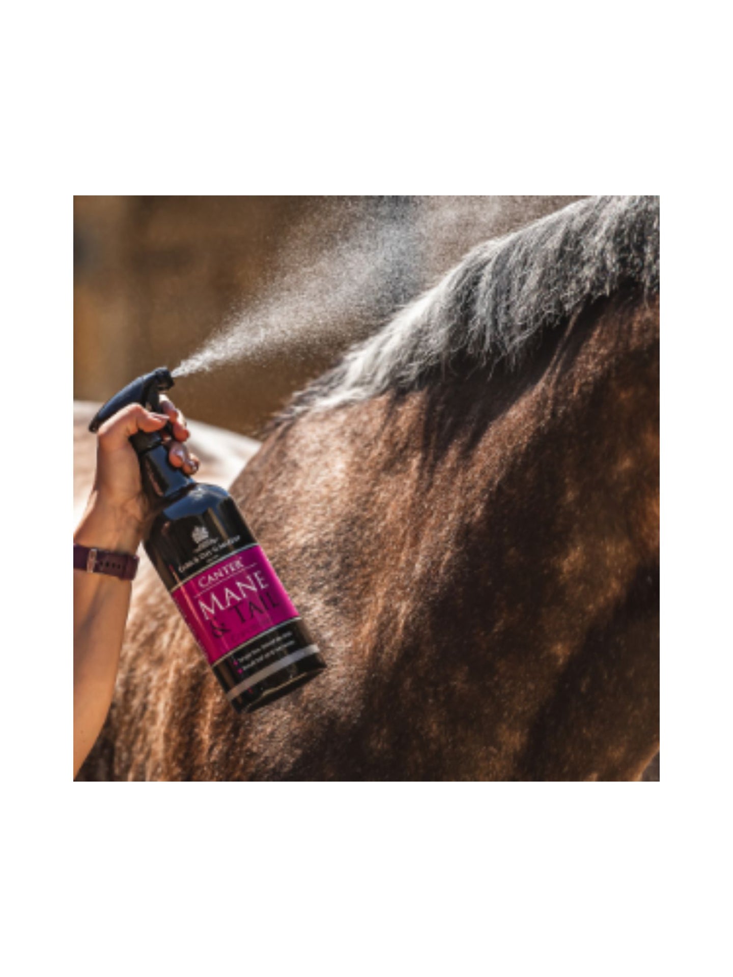 Canter Mane & Tail Conditioner Spray 500ml