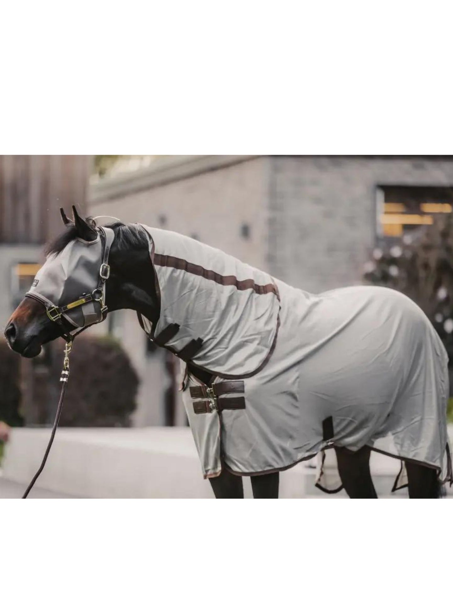 Mesh Fly Rug Classic Silver