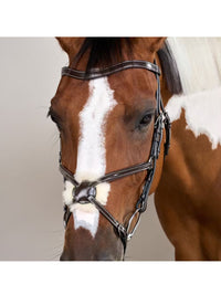 Träns Mexikansk Nosgrimma Working Collection Brun