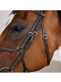 Träns Mexikansk Nosgrimma Working Collection Brun