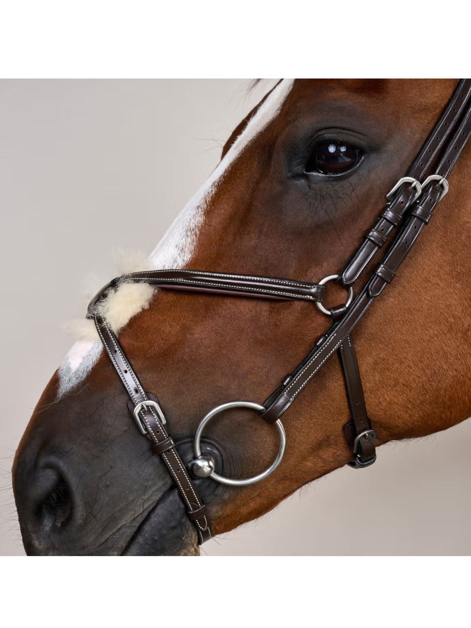 Träns Mexikansk Nosgrimma Working Collection Brun