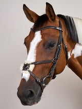 Träns Mexikansk Nosgrimma Working Collection Brun