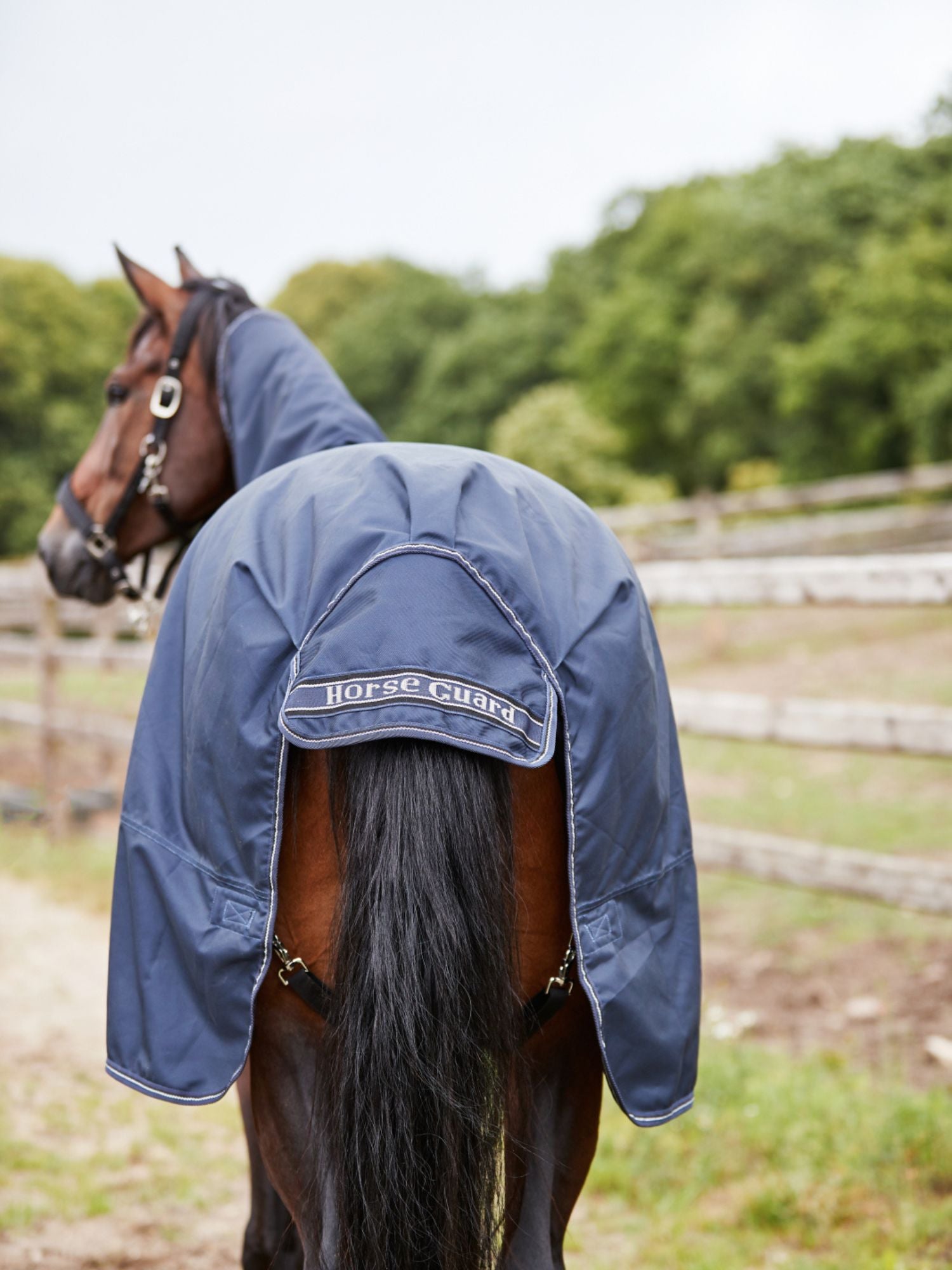 Millan 1200D Turnout Täcke Avtagbar Hals 100g Marin