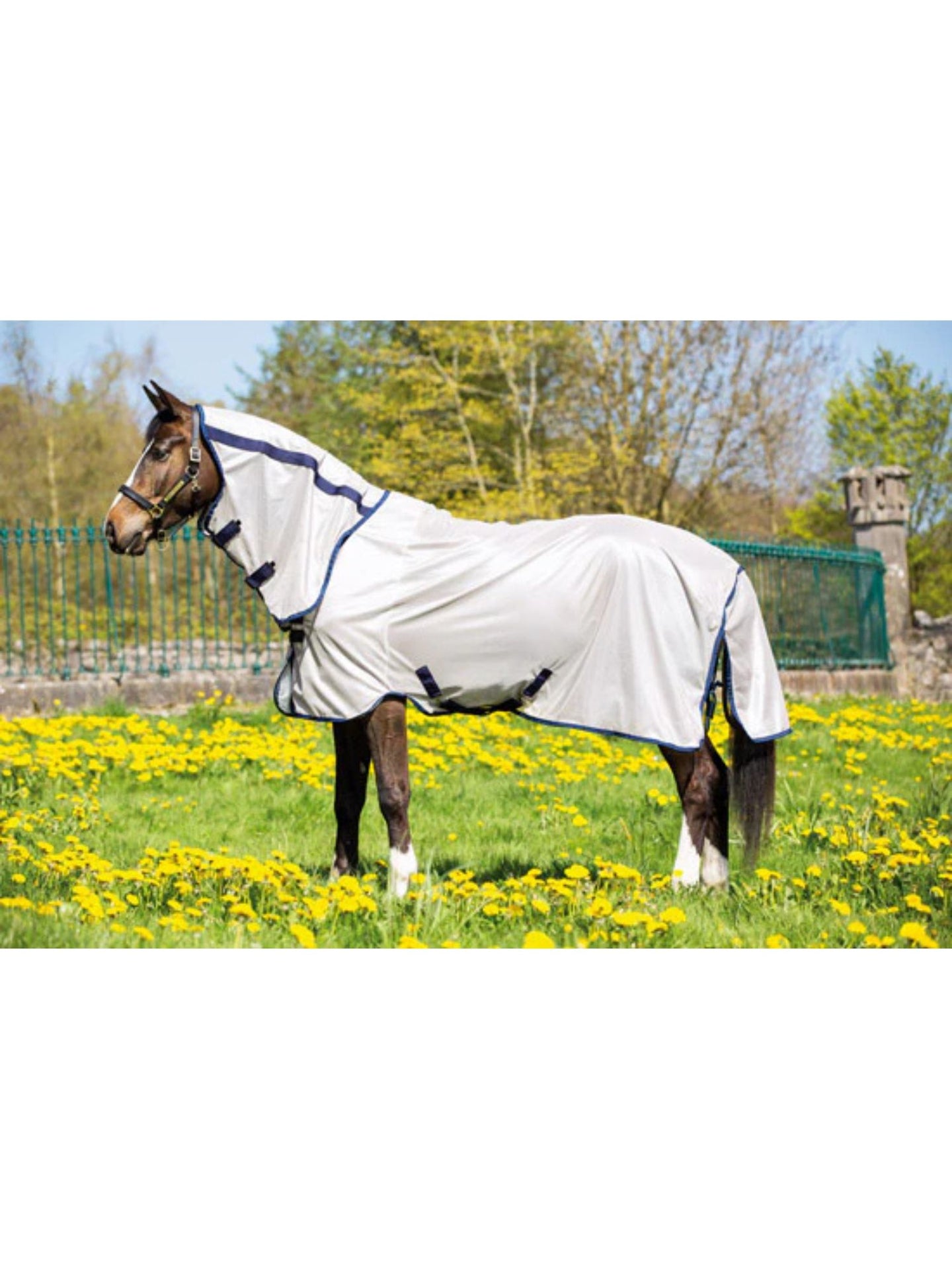 Mio Ponny Fly Rug Bronze Navy