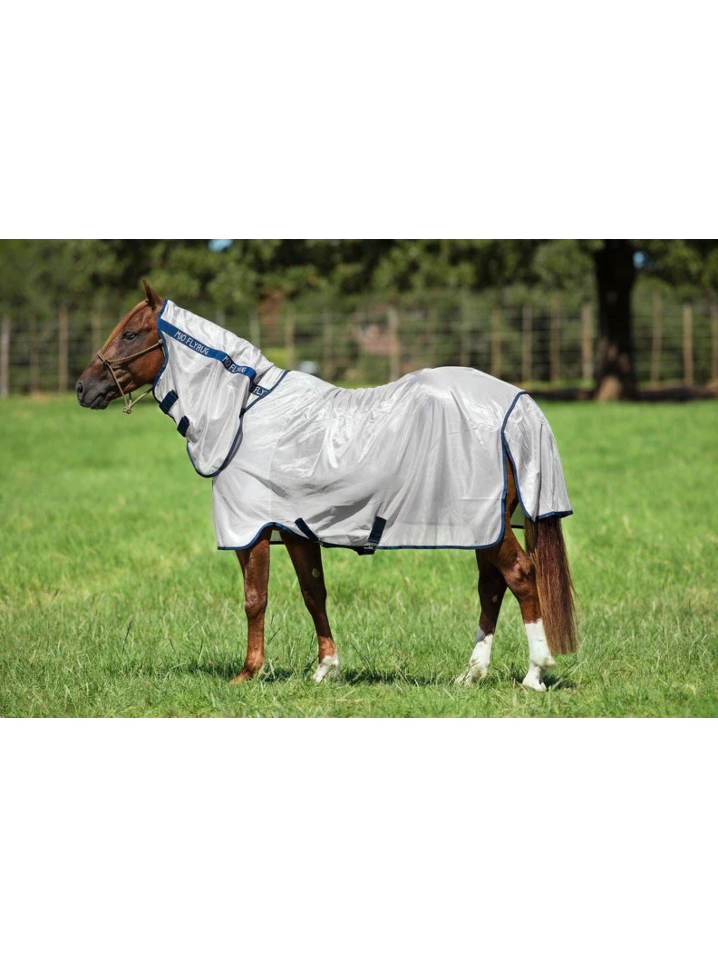 Mio Fly Rug Bronze/Navy