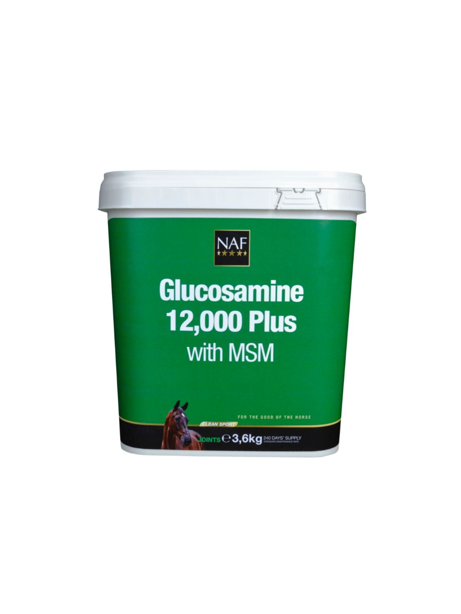 Glukosamin 10.000 Plus MSM 4,5kg