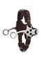 Hackamore Brun