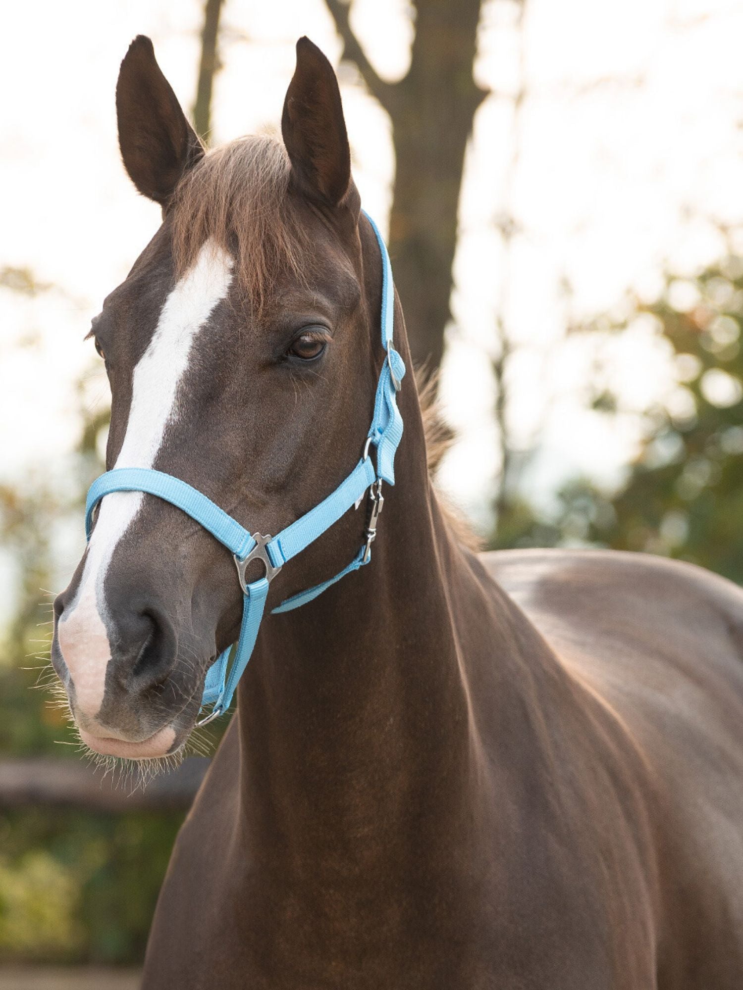 Grimma Nylon Ljusblå