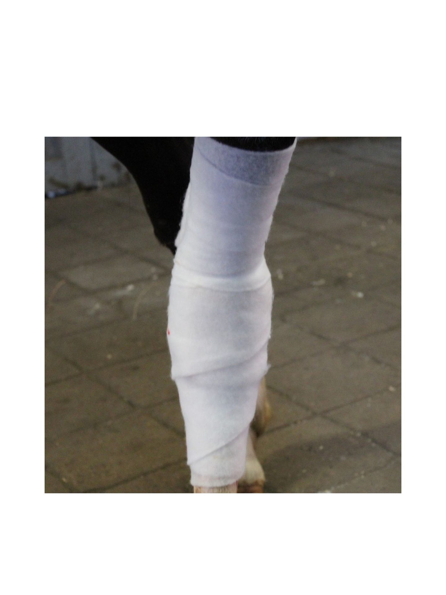 Polstervadd Synt 10cm*3m Steril Cellona