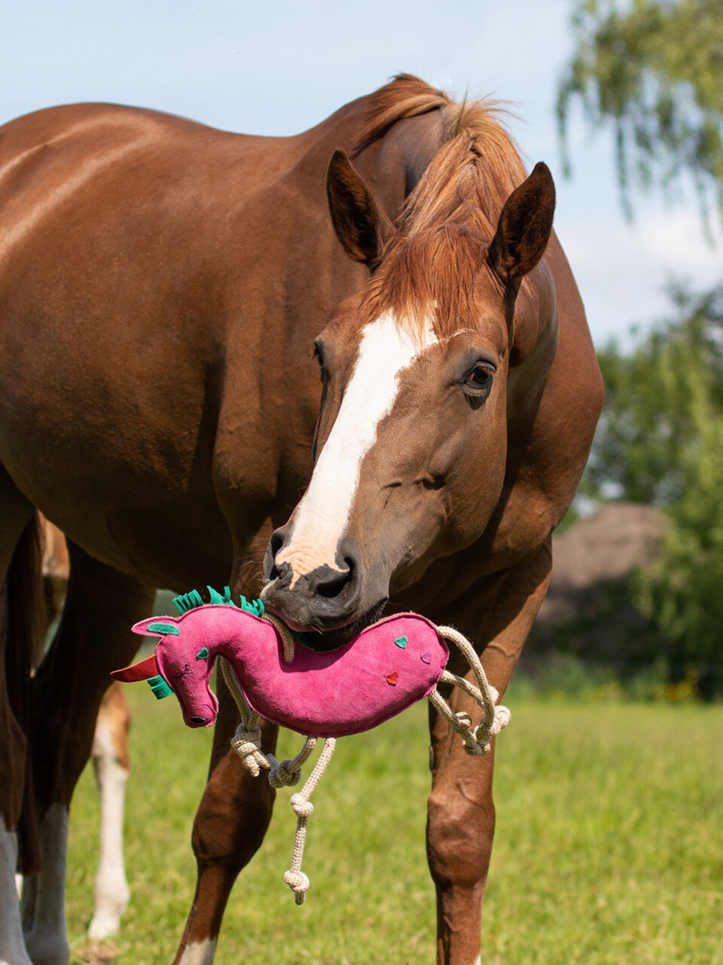 Hästleksak Enhörning Rosa