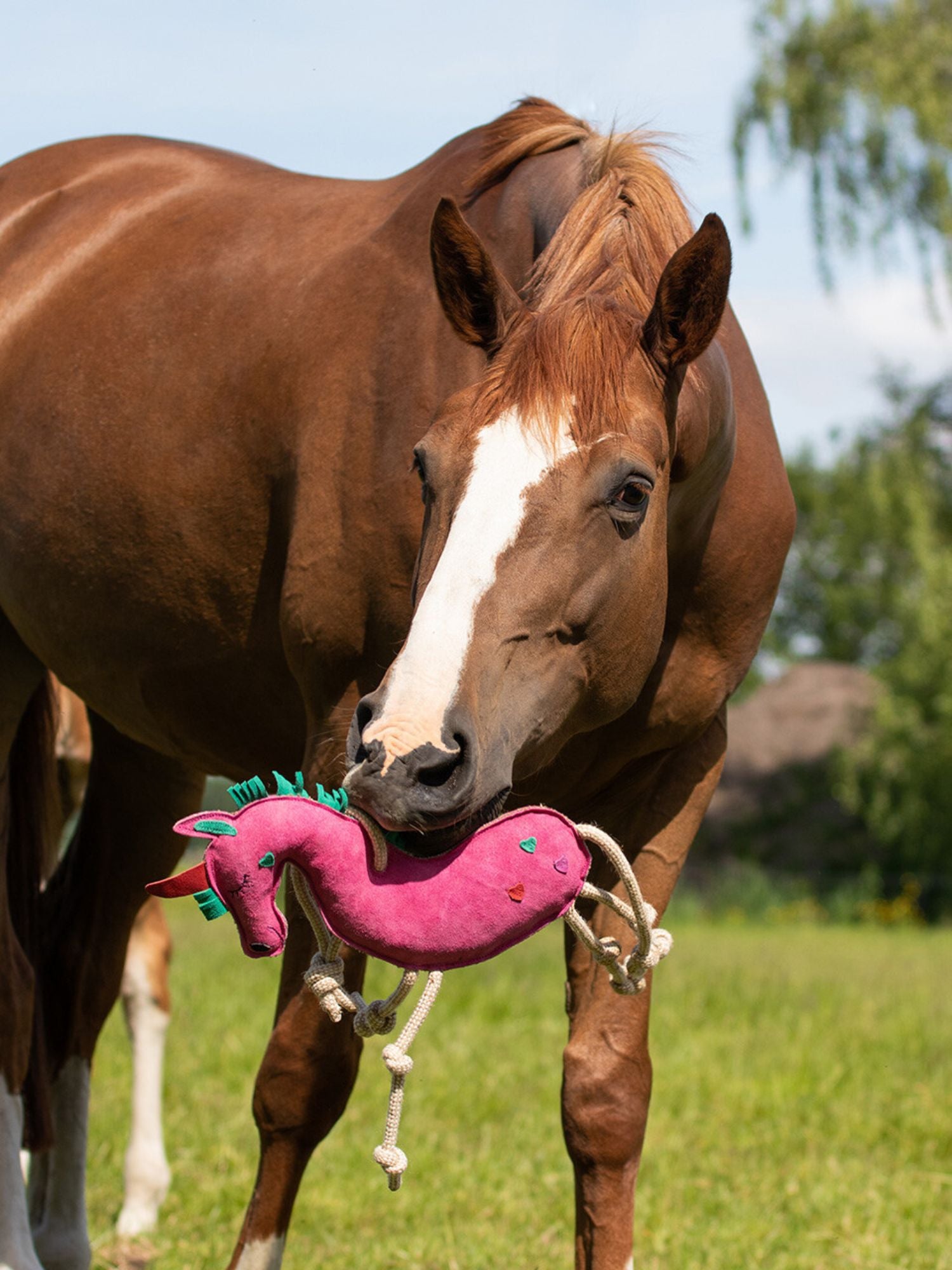 Hästleksak Enhörning Rosa