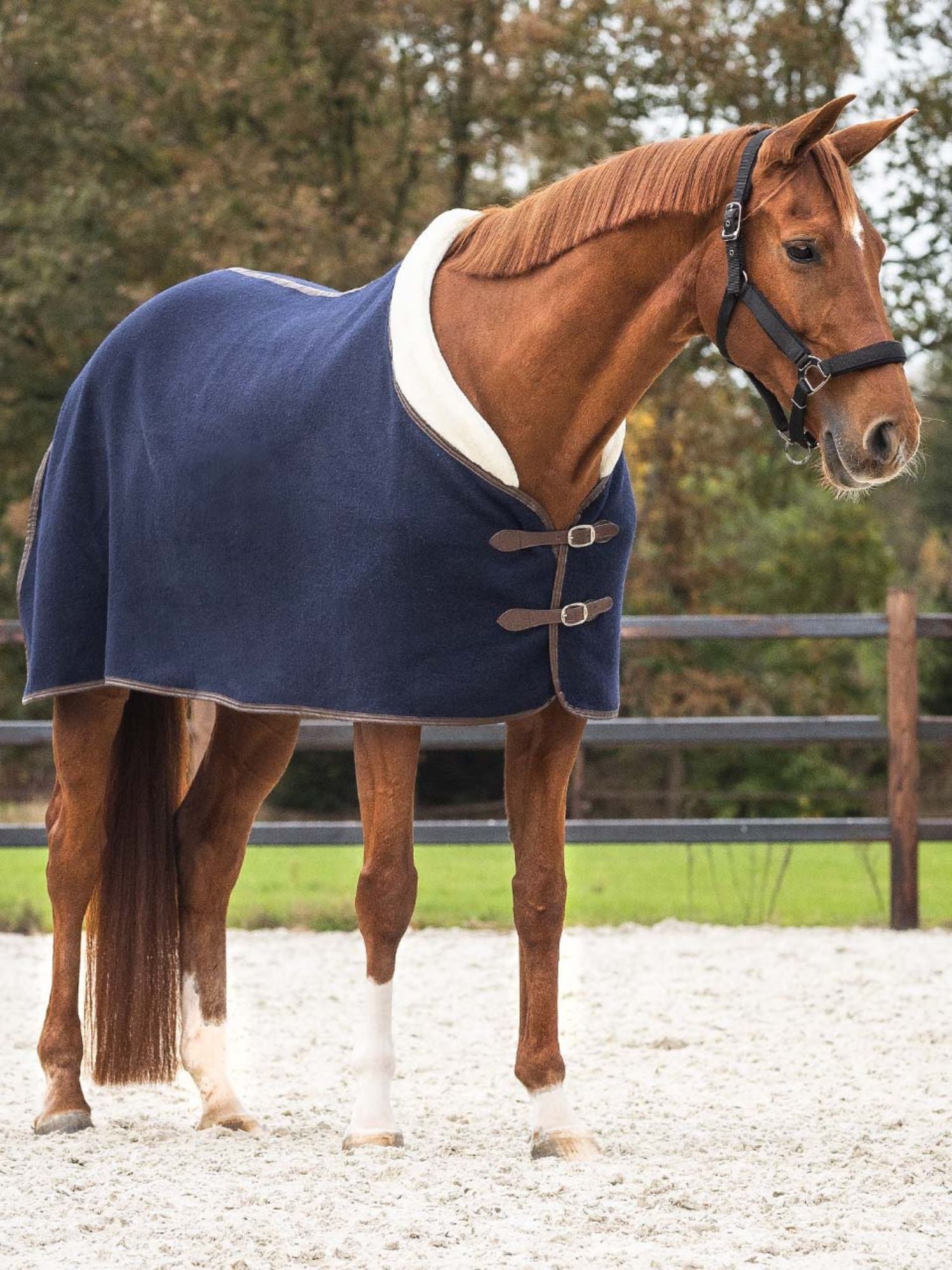 Ulltäcke Deluxe Navy