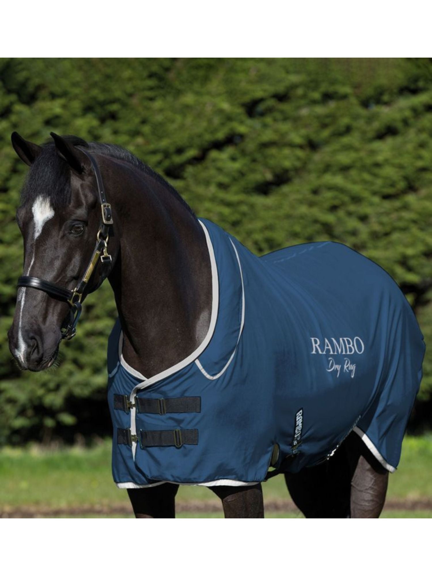 Rambo Dry Rug Navy/Silver