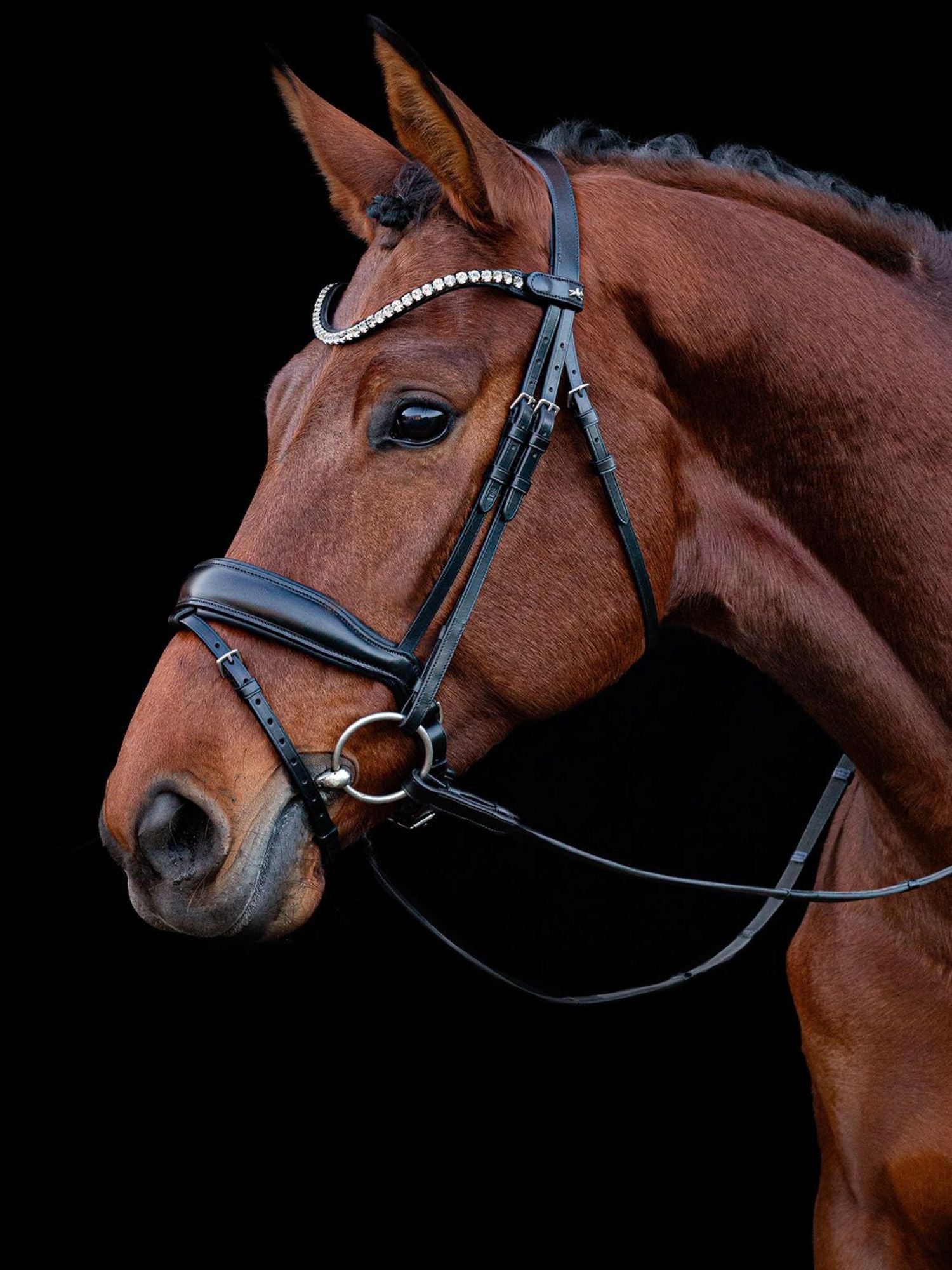 Träns Siena SP Svart