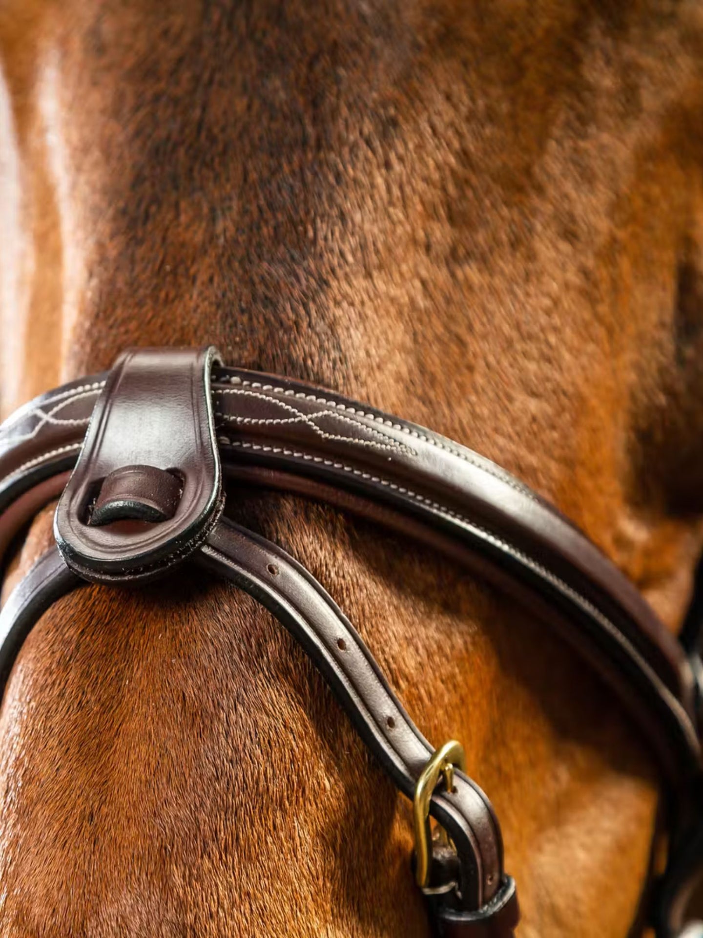 Snokrem 1/2 + Fästen Dyon Collection Brun