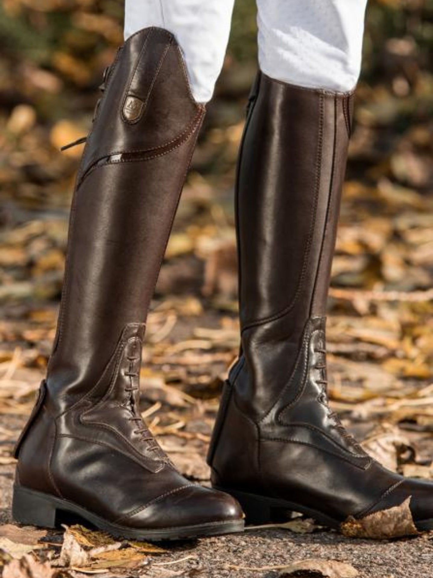 Ridstövel Sovereign Young High Rider Dark Brown