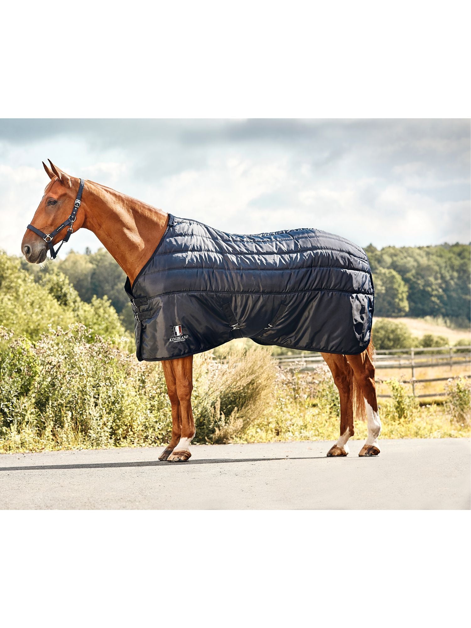 Classic Primary Stalltäcke 400g Navy