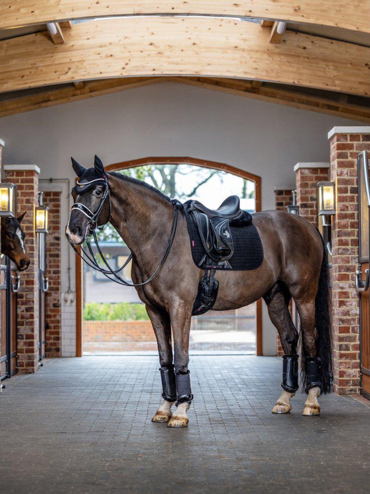 Suede Dressage Square Schabrak Black