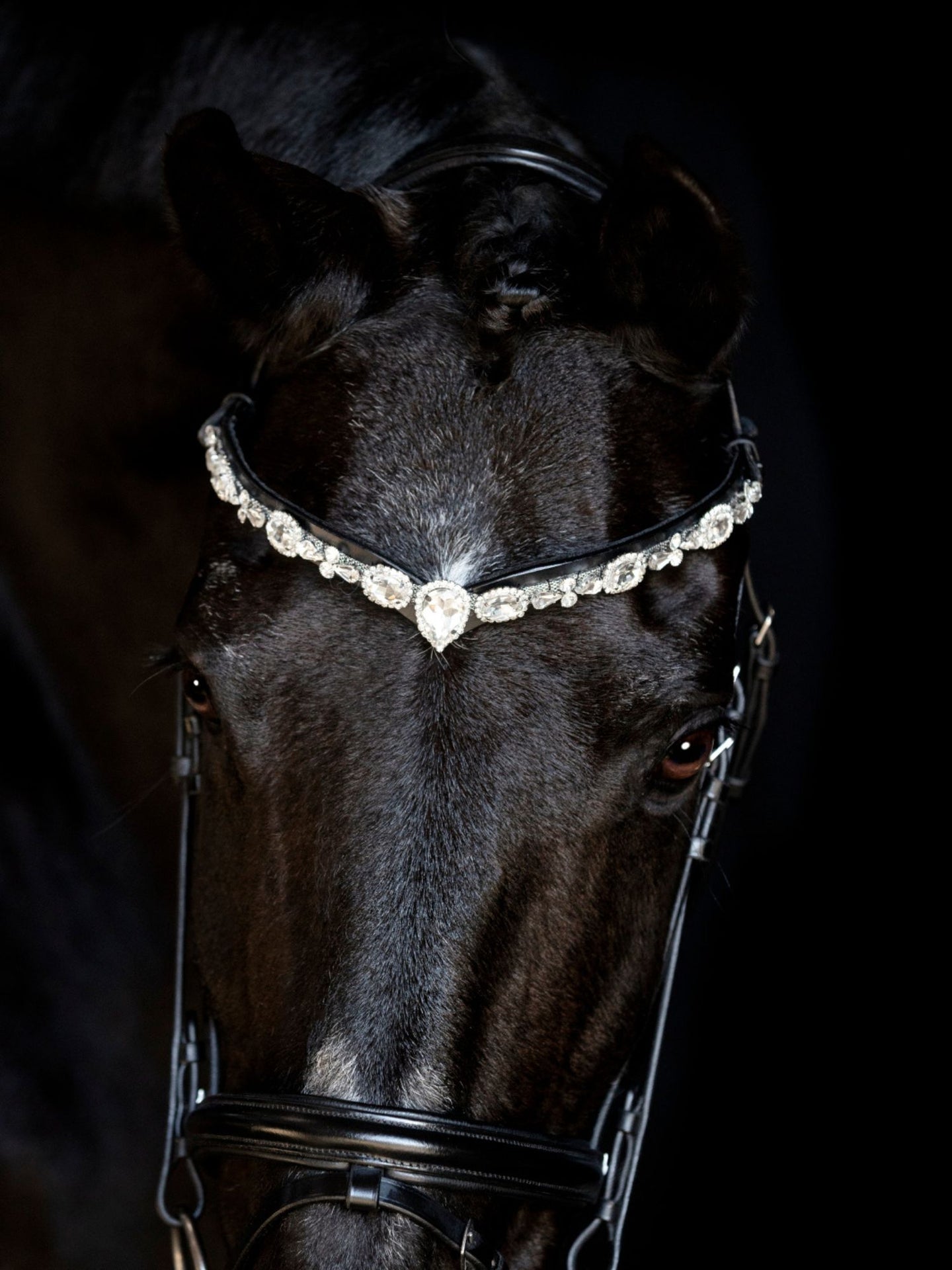 Pannband Sunnywale Svart/Silver