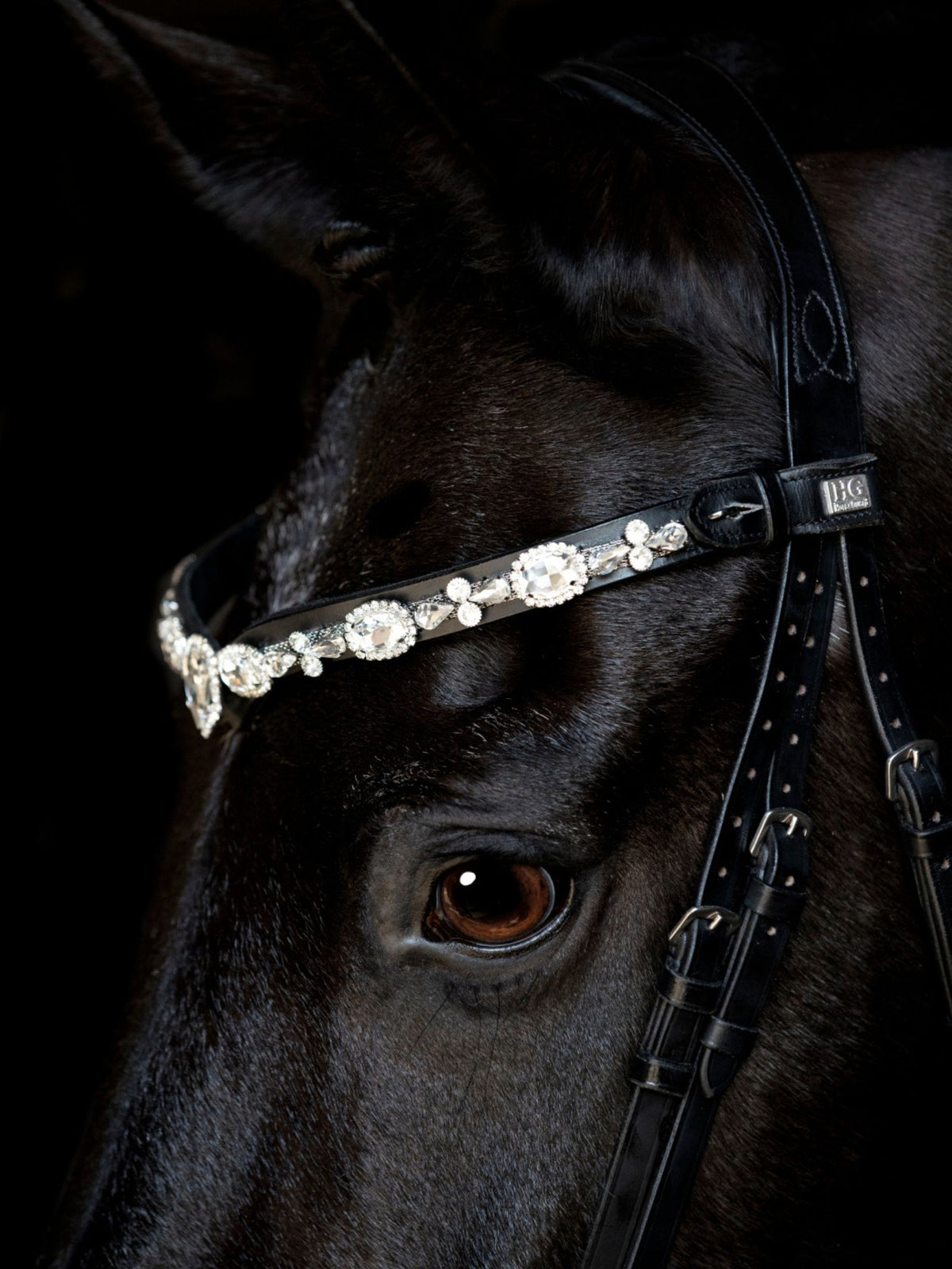 Pannband Sunnywale Svart/Silver