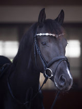 Pannband Sunnywale Svart/Silver