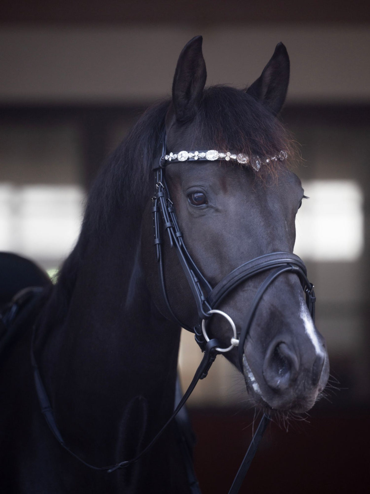 Pannband Sunnywale Svart/Silver