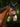 Huva Soundless Flore Svart