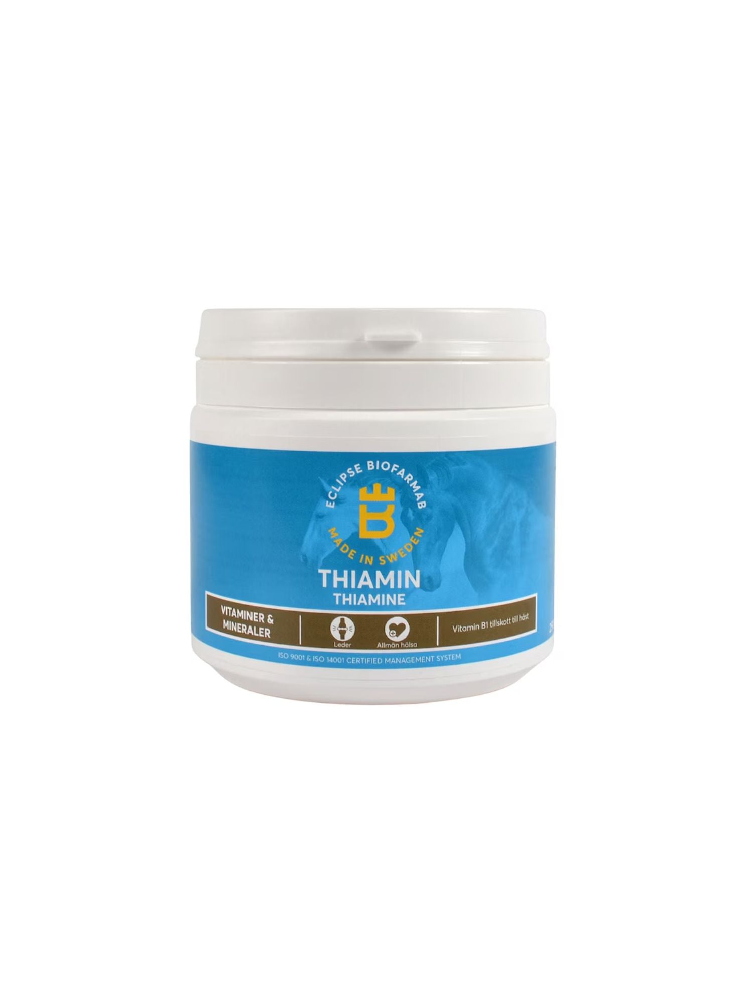 Thiamin 250G