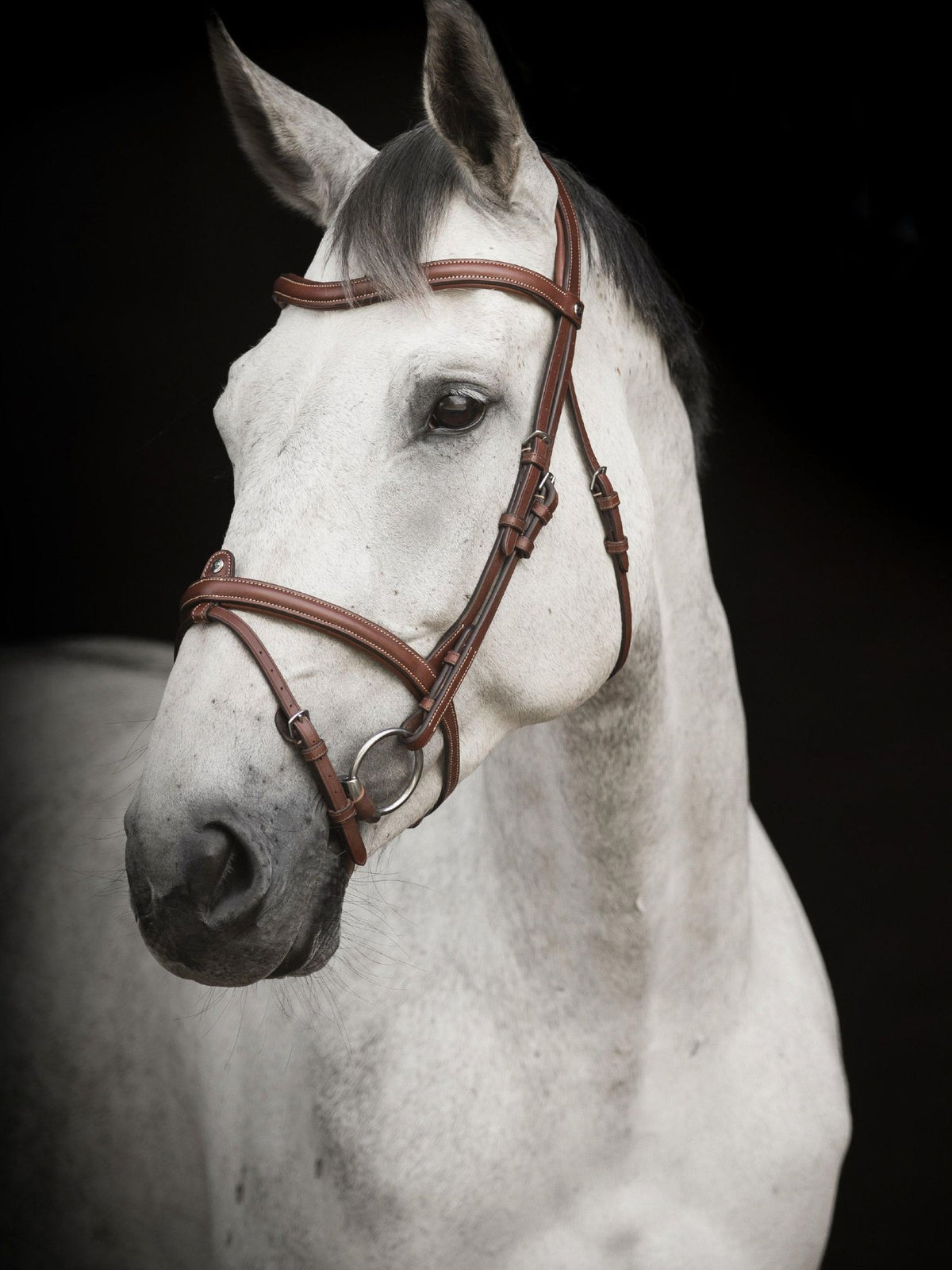 Träns Aachen Eccelente Cognac
